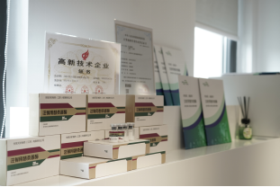 灵蛇迎春 共赴新程