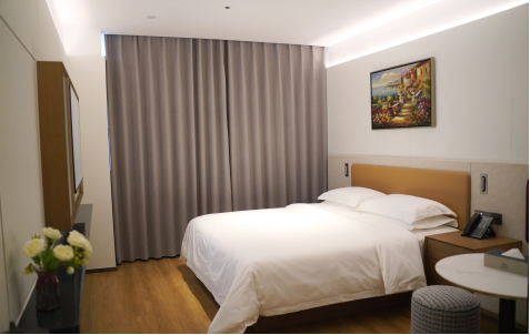 灵蛇迎春 共赴新程