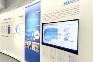 灵蛇迎春 共赴新程