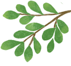 2025海外华裔菁英青少年大运河文化体验活动南京营圆满落幕