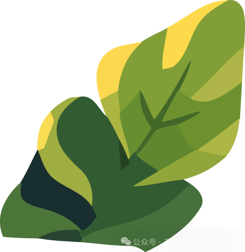 深圳湾实验室党委书记胡晓军一行来访