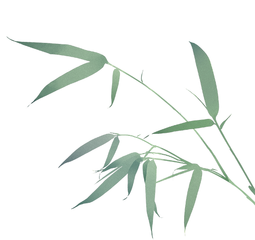 院领导陪同国际奥艺委执行主席秦雯一行参观越窑青瓷施珍艺术馆