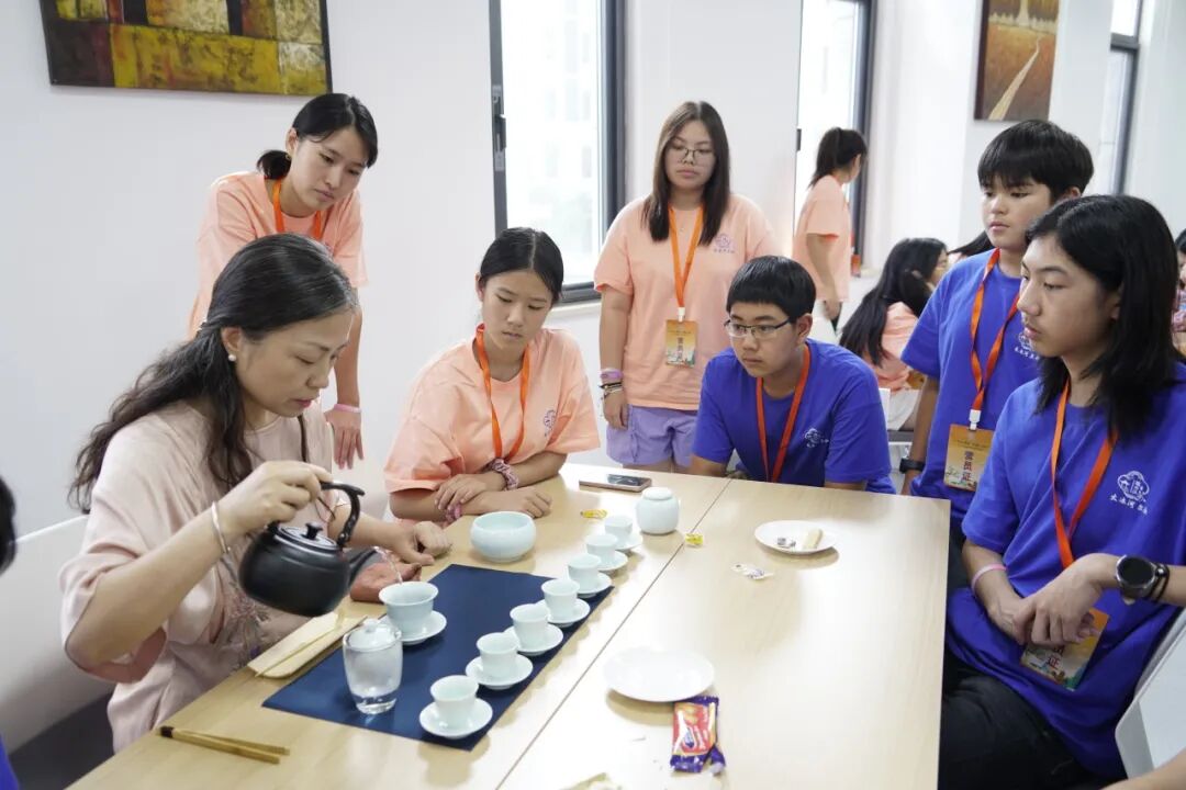 2025海外华裔菁英青少年大运河文化体验活动南京营圆满落幕