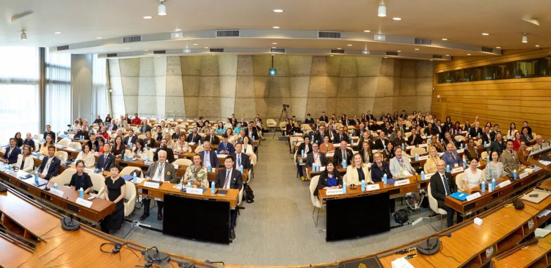 艺术之光照亮全球|现代奥艺品牌亮相巴黎联合国教科文组织总部