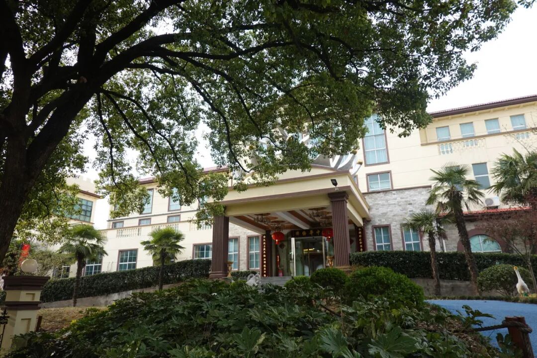 院领导一行考察中国社会艺术协会美育强国教育基地